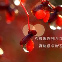 逆境是你的朋友读后感摘录