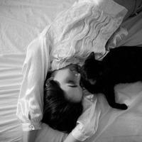 狡猾的老狐狸读后感合计