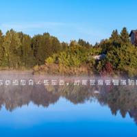 鱼动画片观后感800字精练