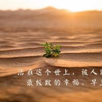 丫丫读后感500字整理