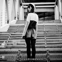 齐白石荷塘蜻蜓读后感集锦