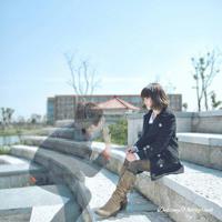 揭示秦始皇兵马俑观后感集锦