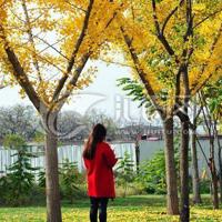 抉择读后感600字摘录