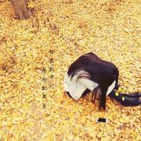 叶子不孤单读后感200字集锦