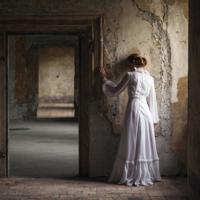 红色闽西红色故事读后感汇聚