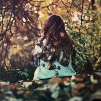 纳尼亚传奇观后感700字精练