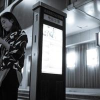 诸神渴了读后感550字整理