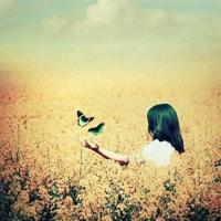 青少年犯罪法治观后感聚集