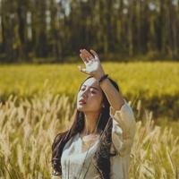 舐犊之情读后感六百字汇集