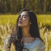 日本电影人参果实观后感汇合