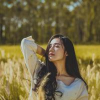 巷》柯灵读后感1000选录