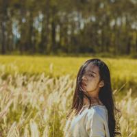 叶问3的观后感100字集锦