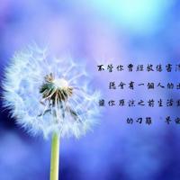 公务员高山下的花环读后感汇总