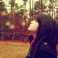 六盘山读后感100字集合