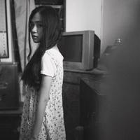 三借芭蕉扇的读后感总汇