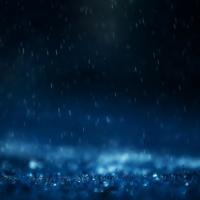 昆虫记前两篇读后感汇聚