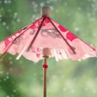 超能陆战队观后感用英语汇总