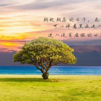 美国丽人观后感500收集