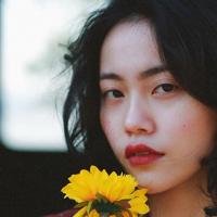 电影大象的观后感总汇