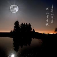 举起手来驴放屁观后感精选