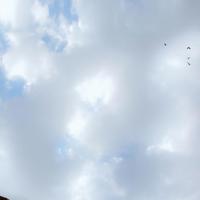 年国庆阅兵观后感作文集锦