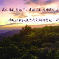 湖南卫视寻亲观后感汇编