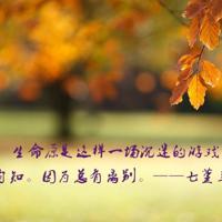 迪斯尼观后感400字精选