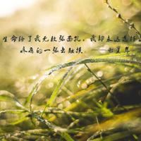 丑小鸭话剧观后感500字总汇