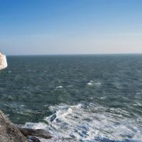 《狼蝙蝠》读后感300字选录