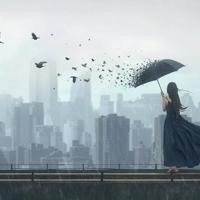 仙鹤姑娘徐秀娟观后感汇集