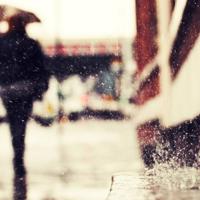 开在石缝里面的鲜花读后感集锦