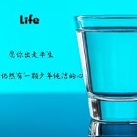 心灵百叶窗的读后感细选