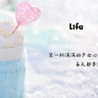 去雅森体验教育中心观后感整理