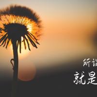 没有压力的船读后感细选