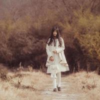 二年级学生观后感作文细选