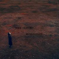 老鞋匠的智慧读后感总汇