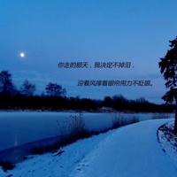 青春有约如花绽放读后感合计