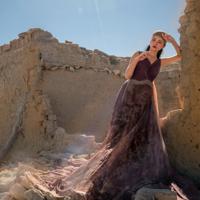 霍去病卫青征战匈奴读后感汇合