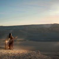 朗读者观后感250字以上合计