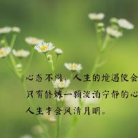 大雨伞和小雨伞的读后感汇合