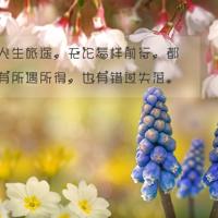 蜘蛛侠这本书的读后感选录