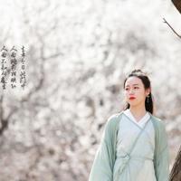 弘扬民族精神讲座的读后感精练