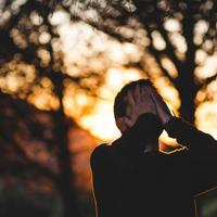 狐狸的惩罚读后感选录