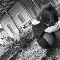 熊出没之熊心归来观后感汇聚