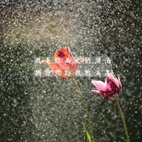 车窗前的猫读后感300字整理