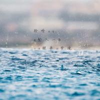 红色娘子军舞蹈读后感精练