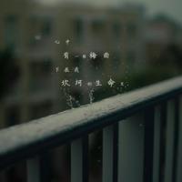 有关智慧的书的读后感精练