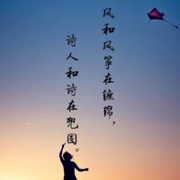 一片树叶童话的读后感汇集