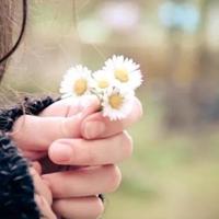 菲菲生气了绘本读后感汇总