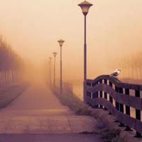 在战疫中成长读后感一篇集锦